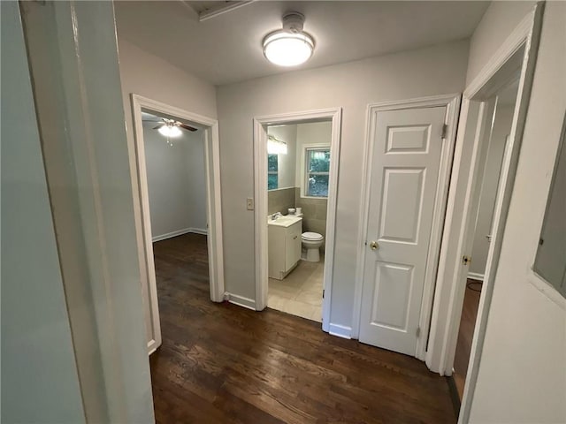 hall featuring dark hardwood / wood-style flooring