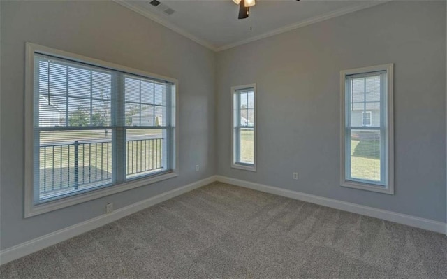 spare room featuring ceiling fan, ornamental molding, and carpet flooring