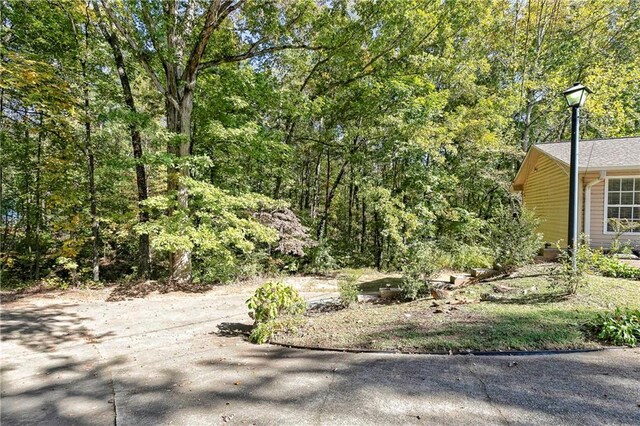 255 Shipp Cir, Hiram, GA 30141 - view of yard