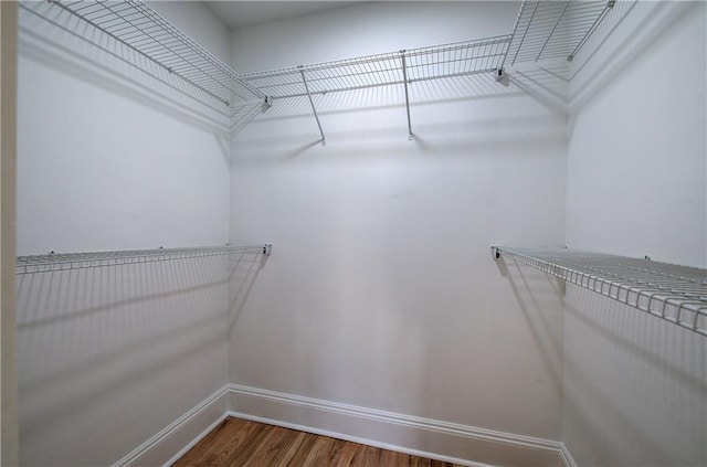 walk in closet with hardwood / wood-style flooring