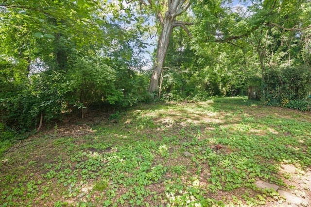 1585 Olympian Cir SW, Atlanta, GA 30310 - view of yard