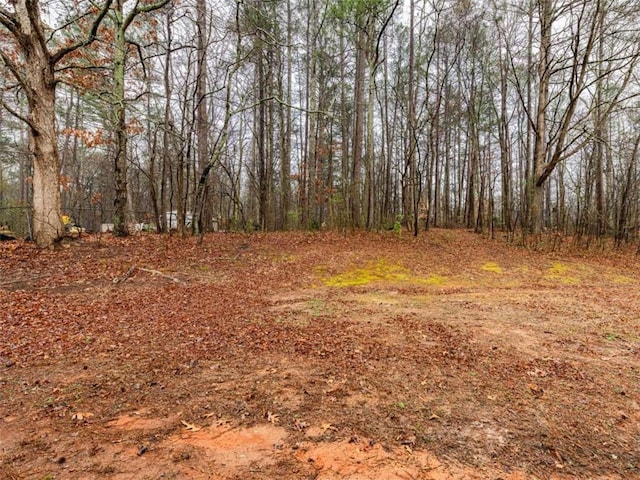 view of local wilderness