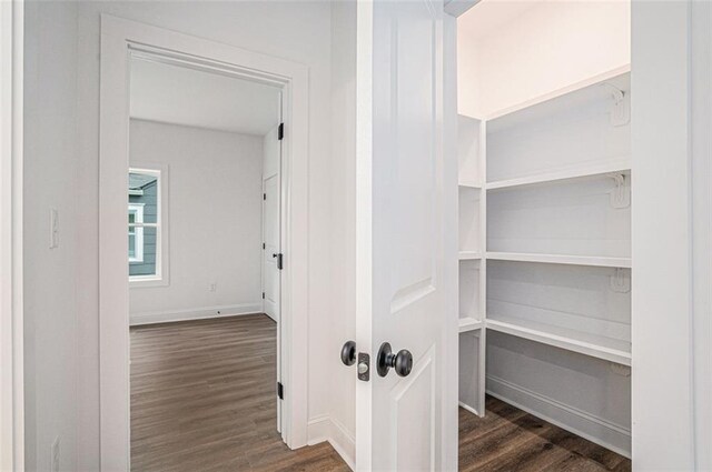 unfurnished bedroom with multiple windows, ensuite bath, ceiling fan, and dark wood-type flooring