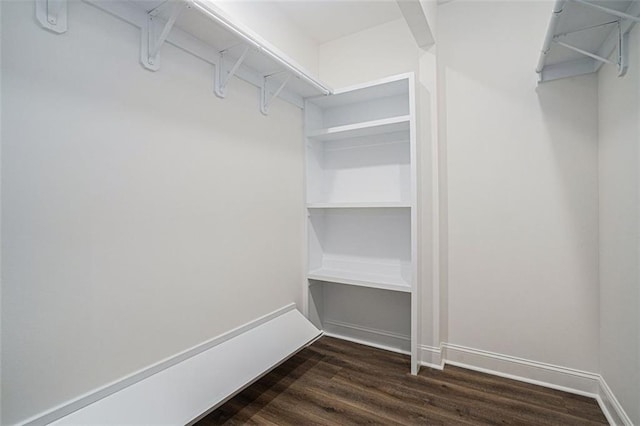 spacious closet featuring dark hardwood / wood-style floors