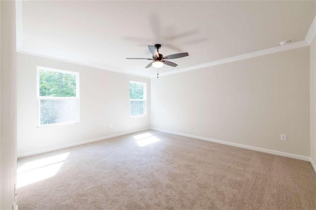 unfurnished room with ceiling fan, crown molding, and carpet flooring