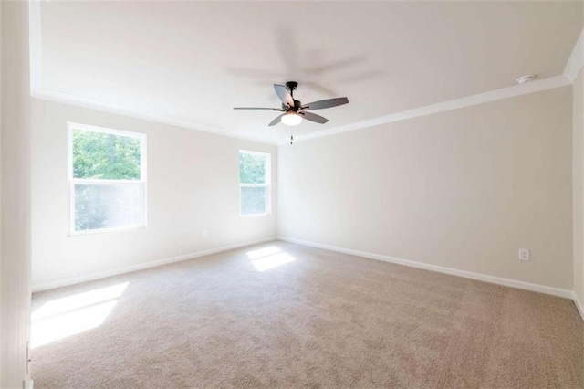 spare room featuring ornamental molding, carpet, a ceiling fan, and baseboards