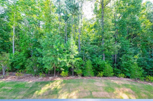 view of undeveloped land