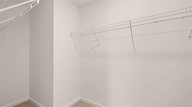 spacious closet with carpet floors