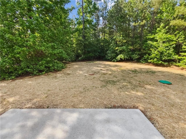 view of yard featuring a patio area