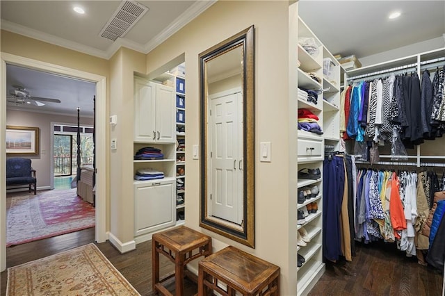 spacious closet with dark wood-style floors, visible vents, and a ceiling fan