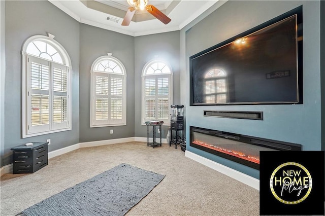 exercise room featuring carpet, visible vents, a raised ceiling, and a glass covered fireplace