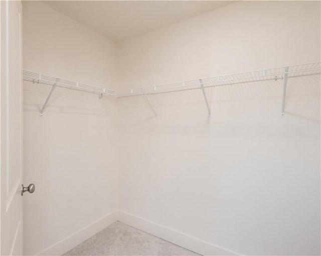 spacious closet with carpet flooring