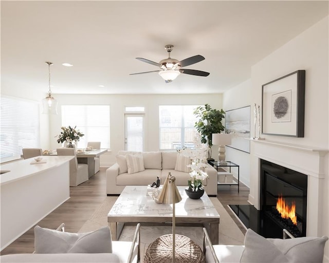 living room featuring ceiling fan and wood-type flooring