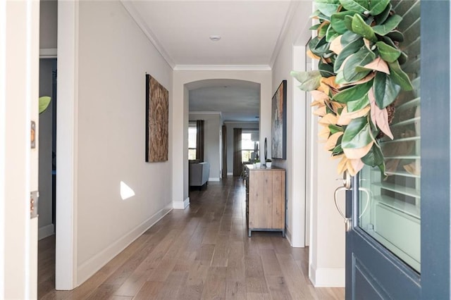 corridor featuring ornamental molding and wood-type flooring