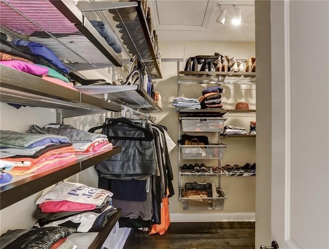 spacious closet featuring dark hardwood / wood-style floors