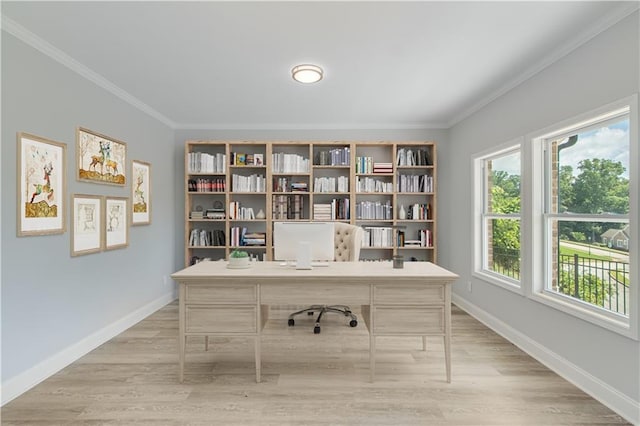 1226 Bloomsbury Ln, Gainesville, GA 30501 - home office featuring crown molding, baseboards, and light wood finished floors