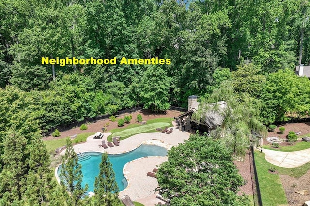 1226 Bloomsbury Ln, Gainesville, GA 30501 - bird's eye view of a pool area