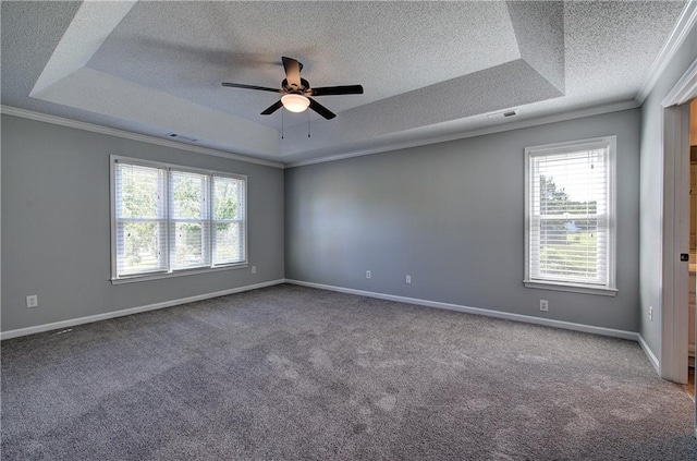 11 Trotters Walk NE, Cartersville, GA 30121 - spare room featuring a raised ceiling, a textured ceiling, a ceiling fan, carpet floors, and ornamental molding
