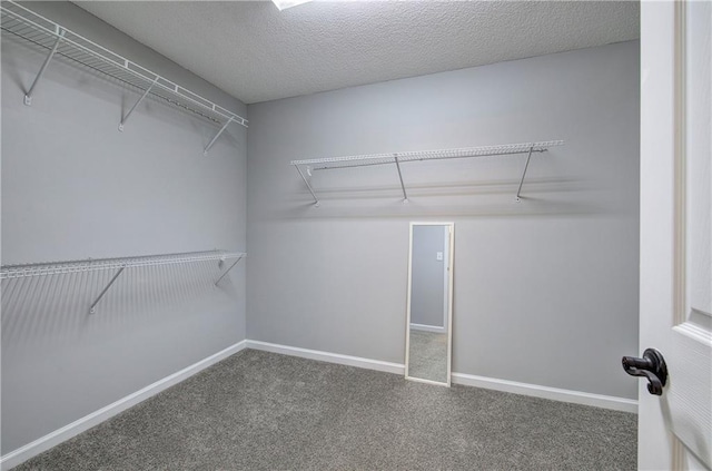 11 Trotters Walk NE, Cartersville, GA 30121 - walk in closet featuring carpet flooring