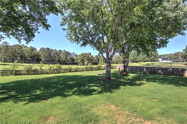 11 Trotters Walk NE, Cartersville, GA 30121 - view of yard