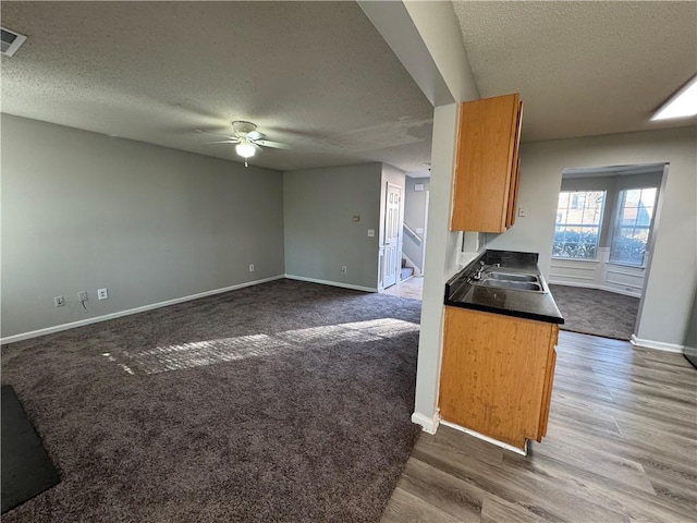 kitchen featuring carpet flooring, ceiling fan, sink, and a textured ceiling