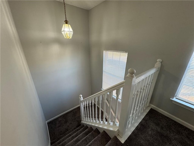 staircase with carpet flooring