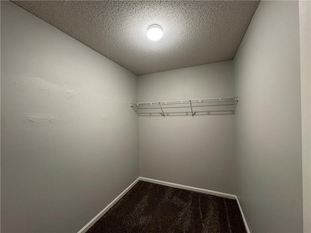 walk in closet featuring carpet flooring