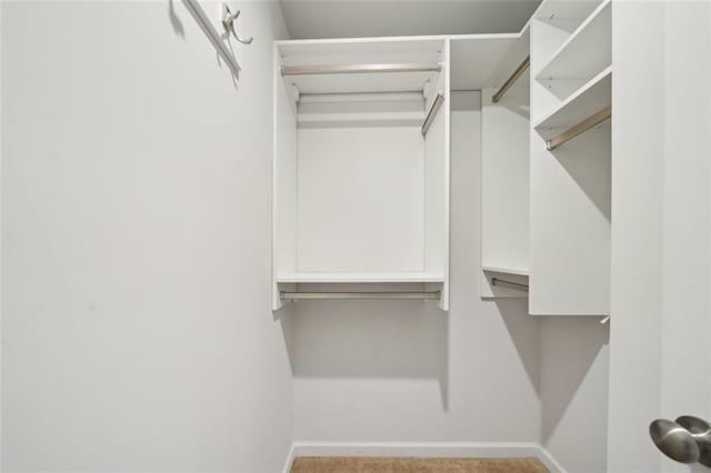 130 W Pier Way, Fayetteville, GA 30214 - view of walk in closet