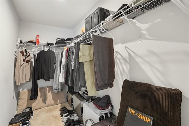 130 W Pier Way, Fayetteville, GA 30214 - walk in closet with carpet flooring