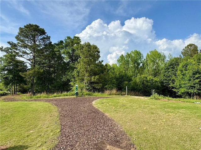 view of community featuring a yard