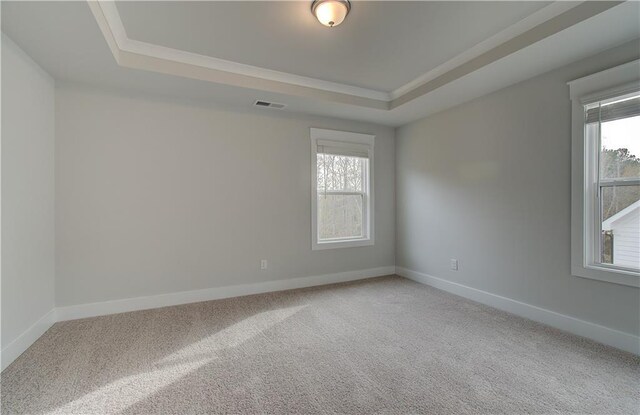 carpeted spare room with a tray ceiling