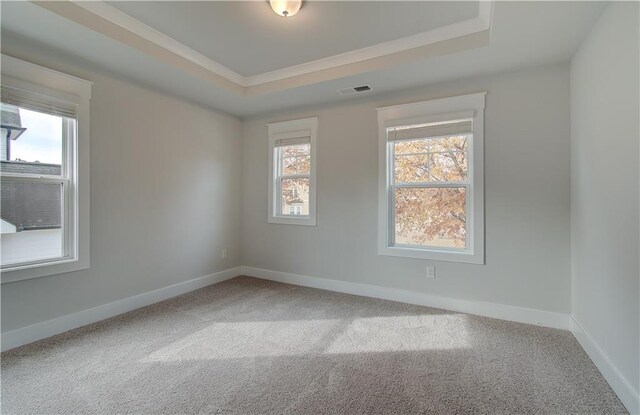 unfurnished room featuring carpet floors, a wealth of natural light, and a tray ceiling