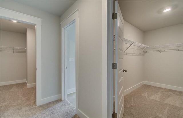 spacious closet with light colored carpet