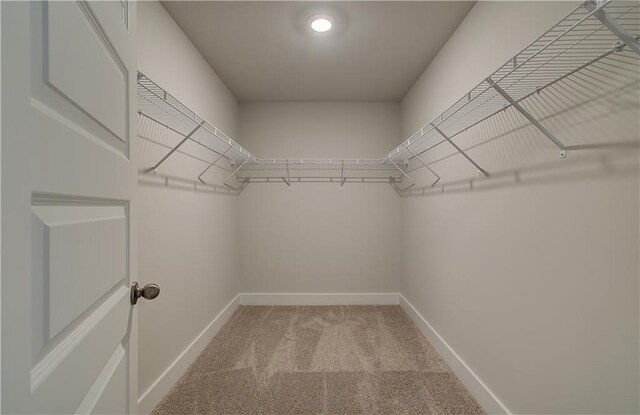 spacious closet with carpet