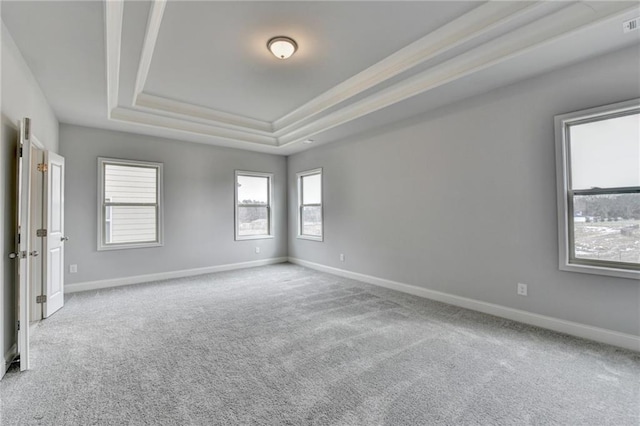 spare room featuring carpet and a tray ceiling