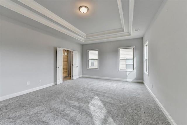 carpeted empty room with a raised ceiling