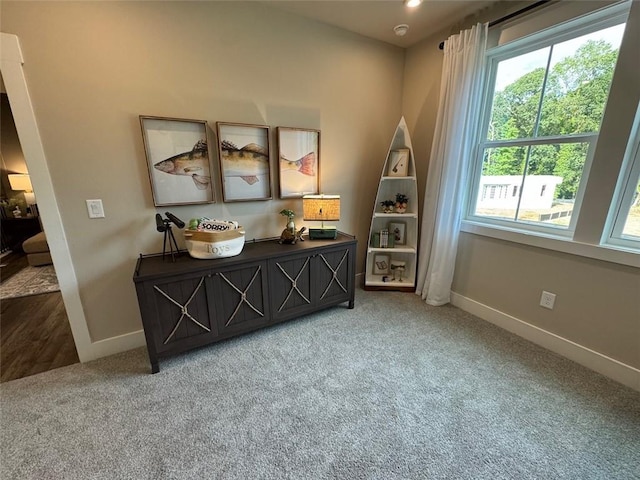 interior space featuring carpet floors