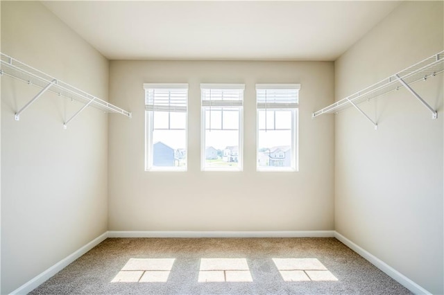 spacious closet featuring light carpet