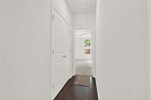 hall featuring baseboards and dark wood-type flooring