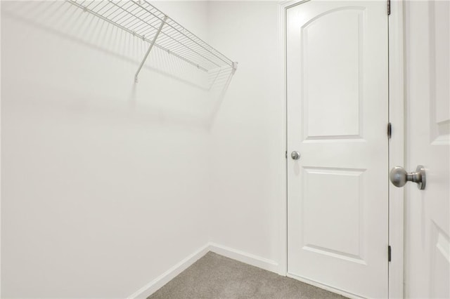 walk in closet with light carpet