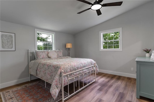 235 Lowry St, Ball Ground, GA 30107 - bedroom with lofted ceiling, multiple windows, wood finished floors, and baseboards
