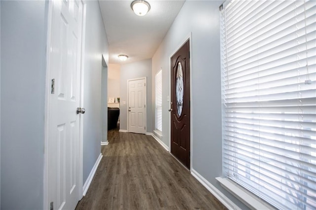 entryway with dark wood-type flooring