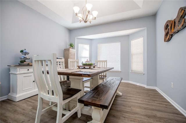 dining space with an inviting chandelier, a tray ceiling, and hardwood / wood-style floors