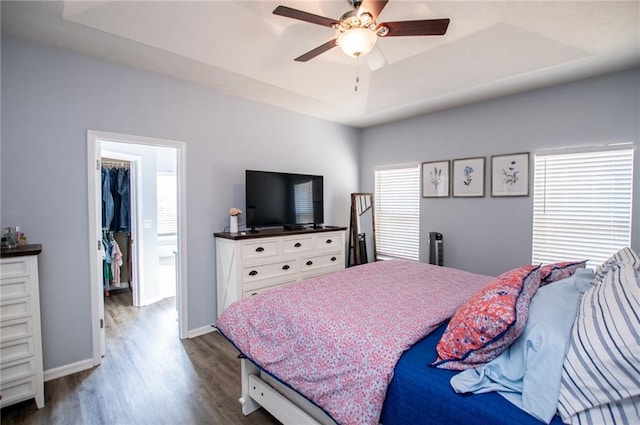 bedroom with a spacious closet, a tray ceiling, a closet, hardwood / wood-style flooring, and ceiling fan