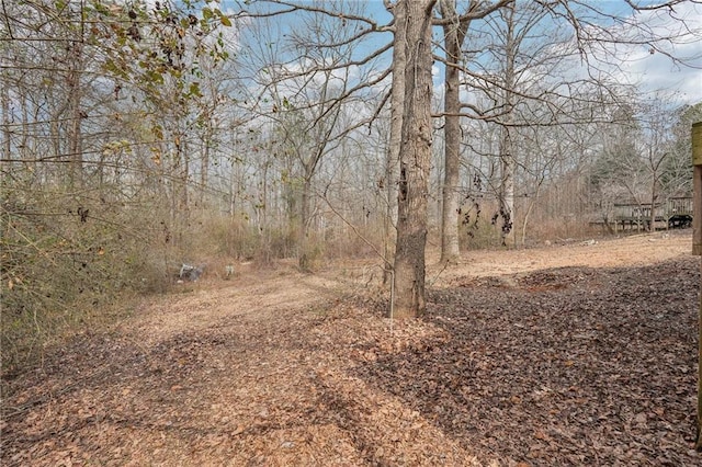 view of local wilderness