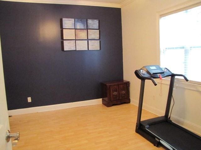 workout area with crown molding and wood-type flooring