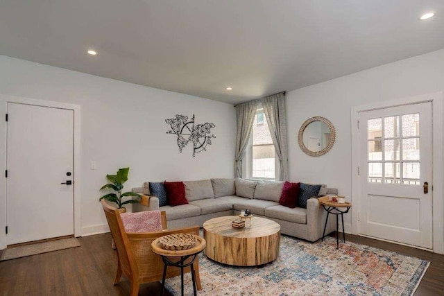 living room with dark hardwood / wood-style flooring