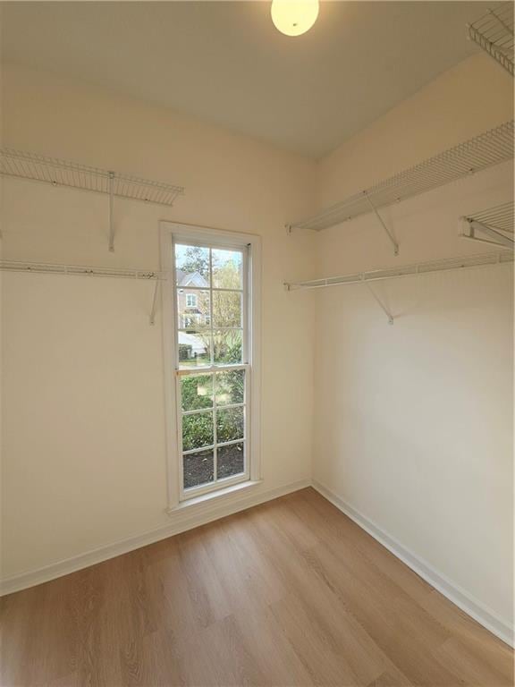 walk in closet with wood finished floors