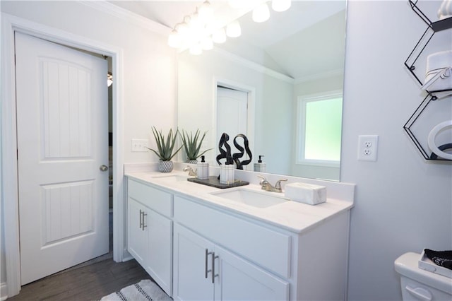 40 Eryn Ter, Covington, GA 30014 - bathroom with double vanity, ornamental molding, lofted ceiling, and wood finished floors