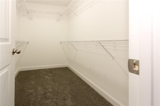 40 Eryn Ter, Covington, GA 30014 - walk in closet featuring carpet flooring